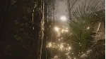 Green Hell VR - STEAM GIFT РОССИЯ - irongamers.ru