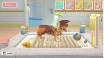 My Universe Pet Clinic Cats Dogs (steam key)
