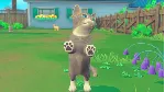 My Universe Puppies Kittens (steam key)