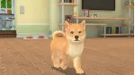 My Universe Puppies Kittens (steam key)