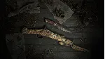 Hunt: Showdown - Bayou Wraith STEAM•RU ⚡ ️АВТО 💳 0%