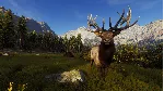 Way of the Hunter +ВЫБОР STEAM•RU ⚡ ️АВТОДОСТАВКА 💳 0%