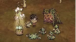 Don't Starve Together: Midsummer Cawnival Chest ⚡ ️АВТО