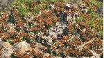 Age of Empires II: Definitive Edition Soundtrack ⚡ ️АВТО