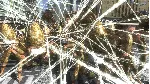 EARTH DEFENSE FORCE 4.1 The Shadow of New Despair - irongamers.ru
