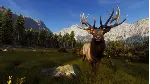 Way of the Hunter STEAM KEY РФ+СНГ СТИМ КЛЮЧ ЛИЦЕНЗИЯ