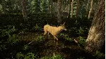✅ Animal Doctor Xbox One & Xbox Series X|S активация
