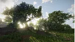 ELEX II Xbox One & Xbox Series X|S активация - irongamers.ru