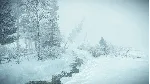 ✅ Kona Xbox One & Xbox Series X|S активация