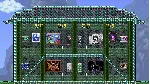 ✅ Terraria Xbox One & Xbox Series X|S активация