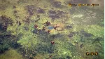 ✅ The Dwarves Xbox One & Xbox Series X|S активация