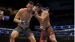 ✅ UFC® 4 Xbox One & Xbox Series X|S активация