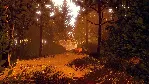 ✅ Firewatch Xbox One & Xbox Series X|S активация