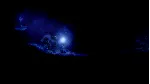 Salt and Sanctuary Xbox One|X|S