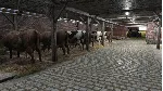 ✅ Farmer's Dynasty Xbox One & Xbox Series X|S активация