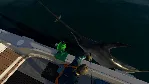 ✅ Fishing: North Atlantic Xbox One|X|S активация