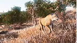 ✅ Hunting Simulator Xbox One|X|S активация