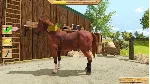 ✅ My Little Riding Champion Xbox One|X|S активация