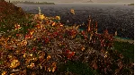 ✅ Port Royale 4 - Extended Edition Xbox активация