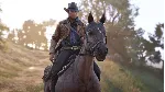 ✅ Red Dead Redemption 2 Xbox One|X|S активация