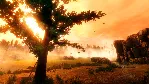 ✅ Rise of Insanity Xbox One & Xbox Series X|S активация