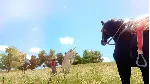 ✅ The Unicorn Princess Xbox One|X|S активация