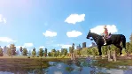 ✅ The Unicorn Princess Xbox One|X|S активация