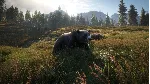 ✅ theHunter: Call of the Wild Xbox One|X|S активация
