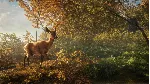 ✅ theHunter: Call of the Wild Xbox One|X|S активация