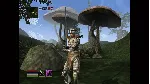 The Elder Scrolls III: Morrowind Xbox активация - irongamers.ru