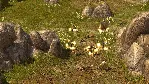 Titan Quest Anniversary Edition (Steam Gift Россия) - irongamers.ru