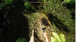 Barn Finders и Treasure Hunter Simulator Xbox активация