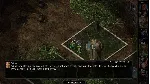 ✅ Baldur's Gate I + II: Enhanced Editions Xbox активаци