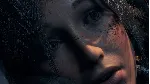 Rise of the Tomb Raider 20 Year Celebration Xbox актива
