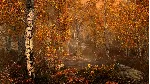 The Elder Scrolls V: Skyrim Special Ed Xbox активация - irongamers.ru