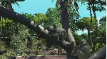 ✅ Zoo Tycoon: Ultimate Animal Collection Xbox активация