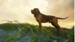 theHunter Call of the Wild - Bloodhound (DLC) STEAM КЛЮЧ - irongamers.ru