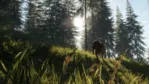 theHunter Call of the Wild - Bloodhound (DLC) STEAM КЛЮЧ - irongamers.ru