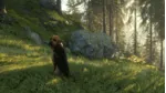 theHunter Call of the Wild - Bloodhound (DLC) STEAM КЛЮЧ - irongamers.ru