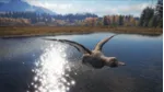 theHunter Call of the Wild - Duck and Cover Pack (STEAM КЛЮЧ)
