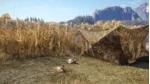 theHunter Call of the Wild - Duck and Cover Pack (STEAM КЛЮЧ)