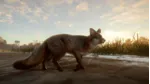 theHunter Call of the Wild - Mississippi Acres Preserve STEAM