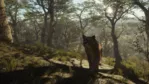 theHunter Call of the Wild - Parque Fernando STEAM КЛЮЧ РФ+МИР