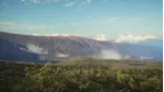 theHunter Call of the Wild - Parque Fernando STEAM КЛЮЧ РФ+МИР