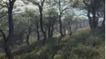 theHunter Call of the Wild - Parque Fernando STEAM КЛЮЧ РФ+МИР
