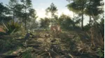 theHunter Call of the Wild - Rancho del Arroyo (STEAM КЛЮЧ)