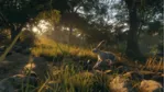 theHunter Call of the Wild - Rancho del Arroyo (STEAM КЛЮЧ)
