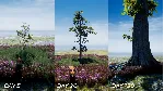 PLAYNE : The Meditation Game (Steam ключ / РФ+Весь Мир) - irongamers.ru