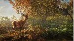 theHunter: Call of the Wild™ XBOX [ Игровой Ключ 🔑 ]
