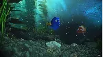 ✅ ❤ ️RUSH: A DISNEYPIXAR ADVENTURE❤ ️XBOX ONE|XS+PC🔑 КЛЮЧ✅ 